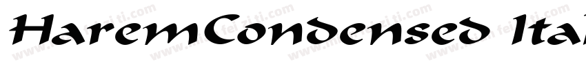 HaremCondensed Italic字体转换